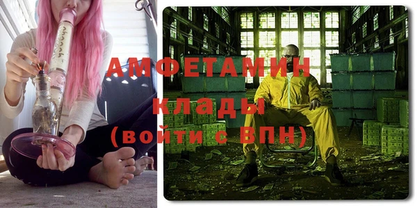 индика Киреевск