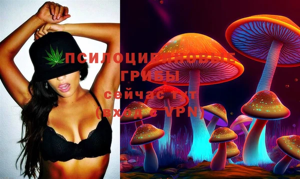 кокс Алексеевка